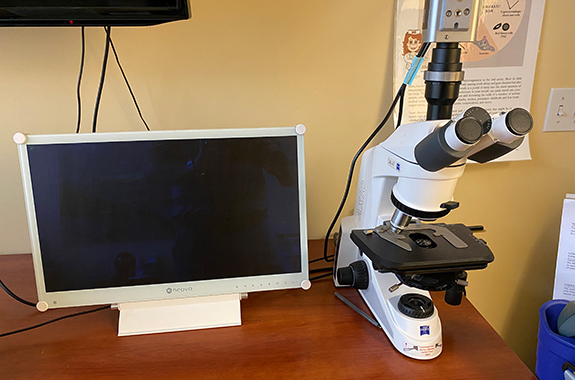 Phase-Contrast Microscope